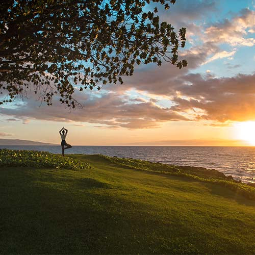 Introducing Serenity | Ease - Mia's Botanicals newest Aromablend