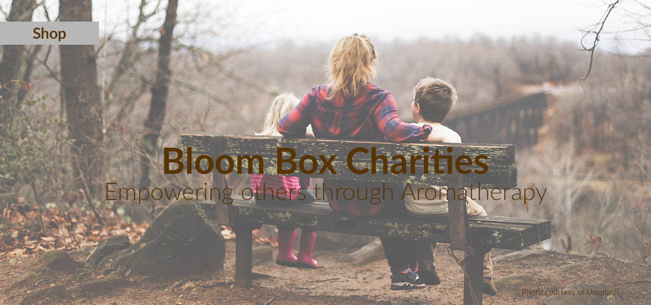 Mia’s Bloom Box Charities, Our Year In Community Impact (2019)