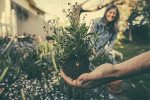 Garden Club Loyalty Program