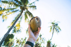 Nuts for Coconut Oil!